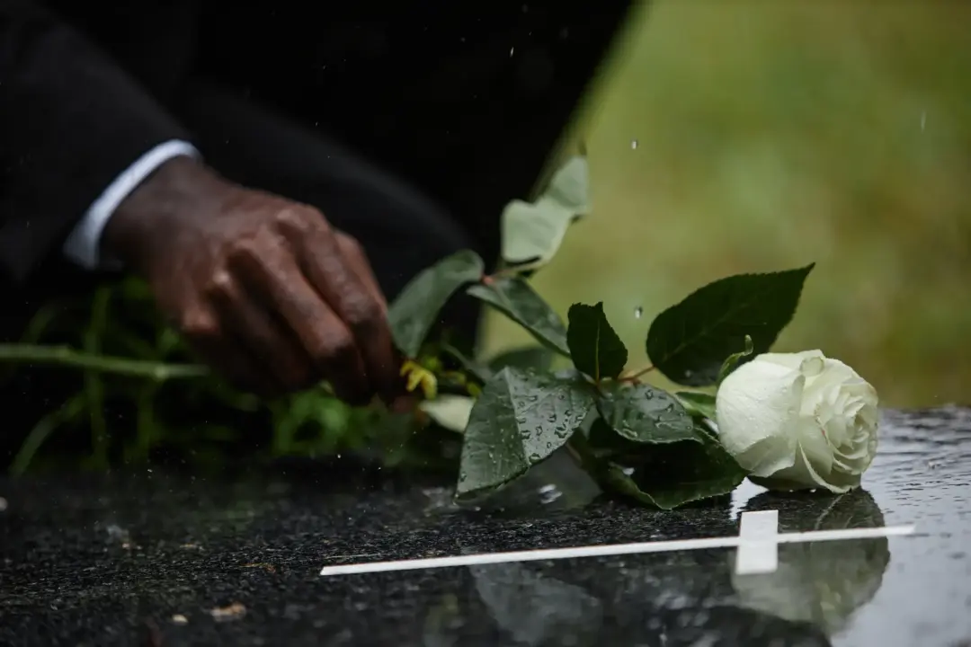 Why Choose a Horse and Carriage for a Loved One