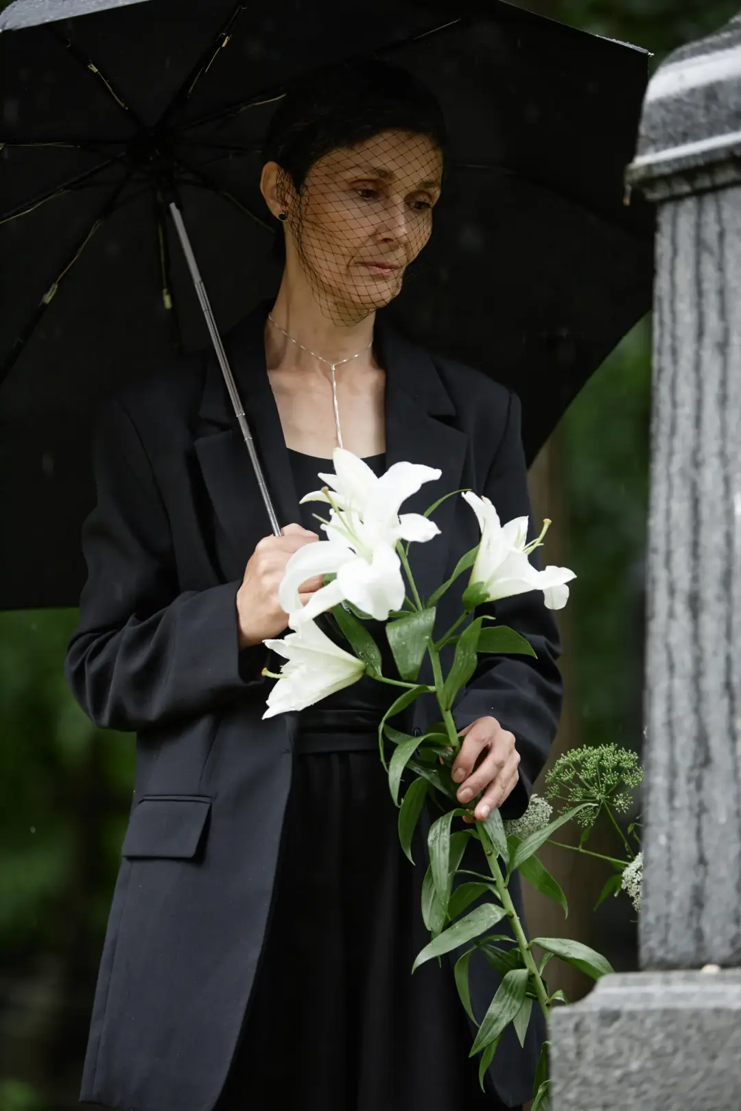 Peaceful and Graceful - Horse-Drawn Funerals
