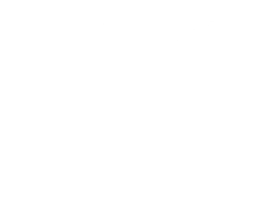 Elegant Carriages