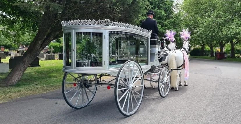 Silver horse-drawn hearse with white horses in lilac plumes