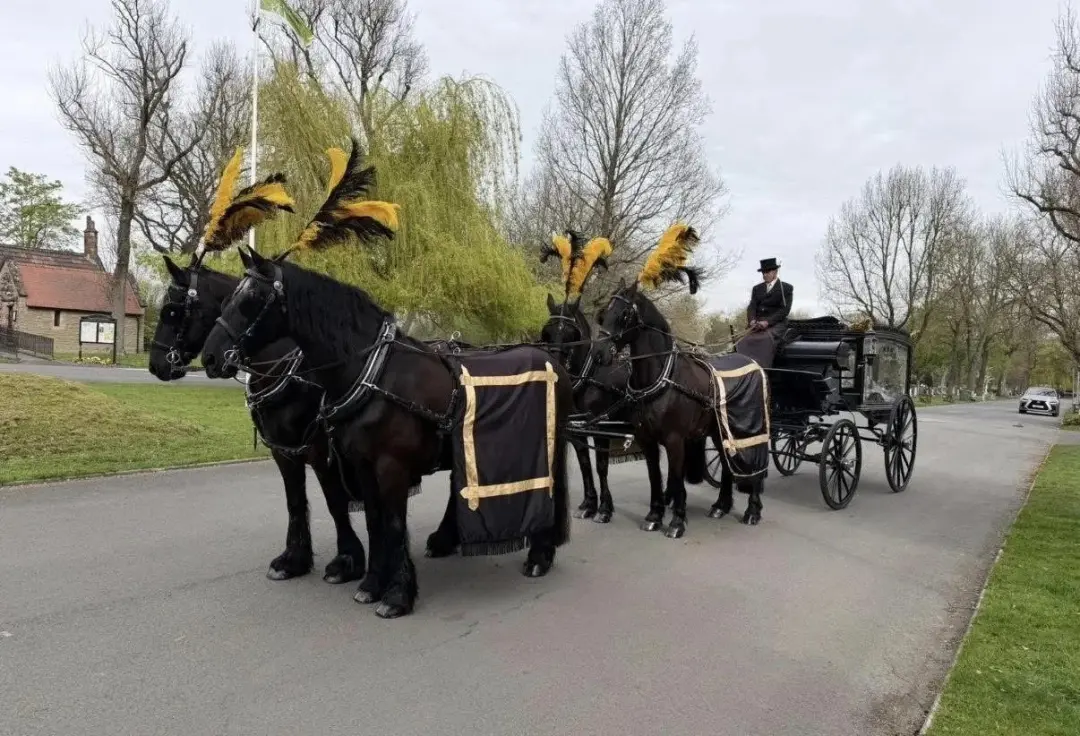 Team of four black horses in black-and-gold drapes drawing a black hearse