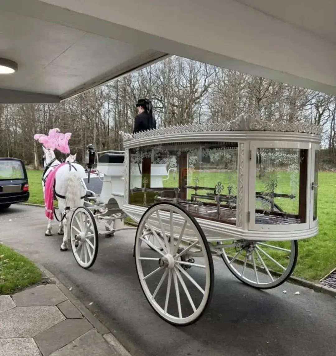 Close view of a white horse-drawn hearse with etched glass sides