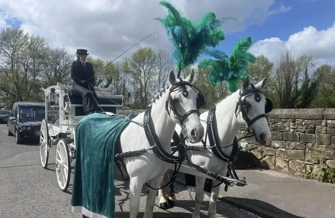 White hearse with a pair of white horses in green plumes and a green velvet drape